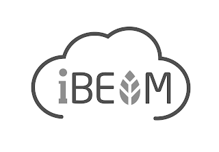 IBEAM logo
