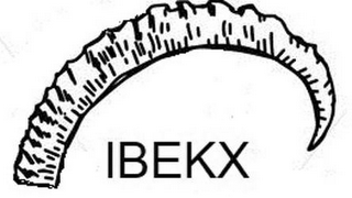 IBEKX logo