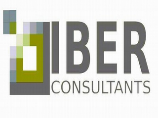 IBER CONSULTANTS logo