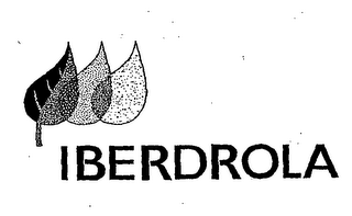 IBERDROLA logo