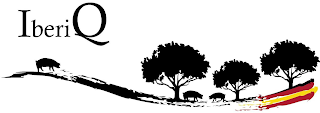 IBERIQ logo