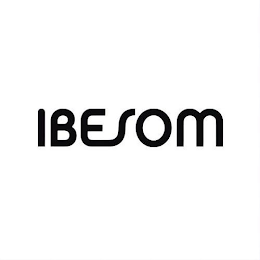 IBESOM logo