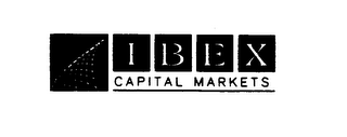IBEX CAPITAL MARKETS logo