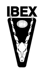 IBEX USA logo
