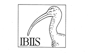 IBIIS logo