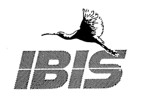 IBIS