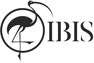IBIS logo