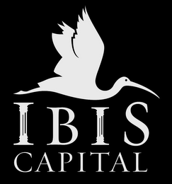 IBIS CAPITAL logo