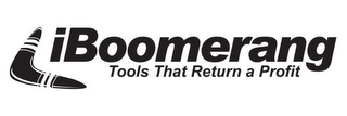 IBOOMERANG TOOLS THAT RETURN A PROFIT logo