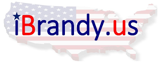 IBRANDY.US logo