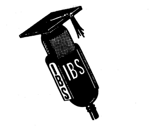IBS logo