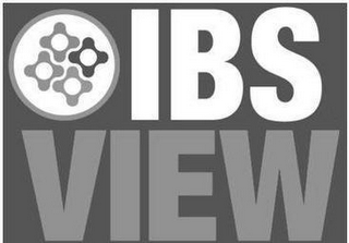 IBS VIEW logo
