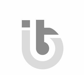 IBT logo
