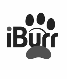 IBURR logo