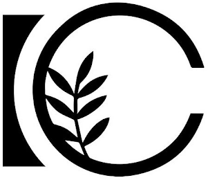 IC logo