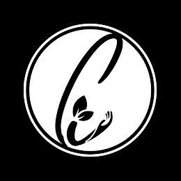 IC logo