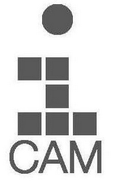 ICAM logo