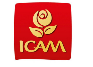 ICAM logo