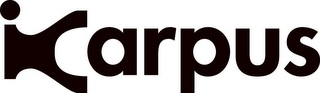 ICARPUS logo