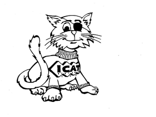ICAT SYSTEMS, INC. logo