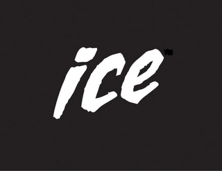 ICE logo