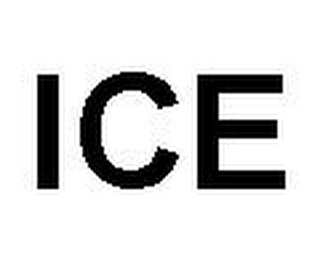 ICE logo