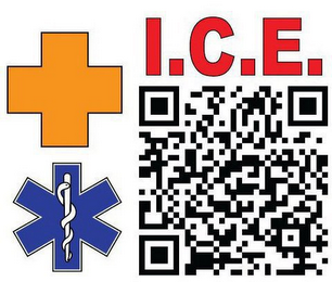 I.C.E. logo