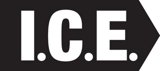 I.C.E. logo