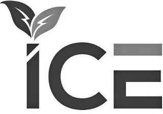 ICE logo