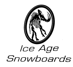 ICE AGE SNOWBOARDS logo