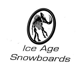 ICE AGE SNOWBOARDS logo