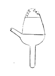 ICE CAP logo