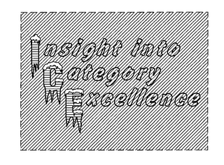 ICE INSIGHT INTO CATEGORY EXCELLENCE logo