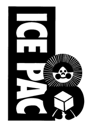 ICE PAC logo