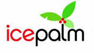 ICE PALM logo