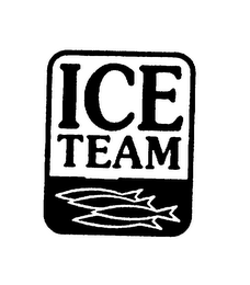 ICE TEAM logo