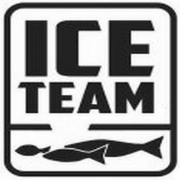 ICE TEAM logo
