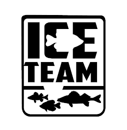 ICE TEAM logo