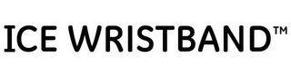 ICE WRISTBAND logo