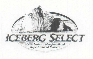 ICEBERG SELECT logo
