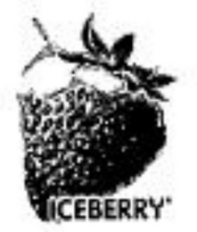 ICEBERRY logo