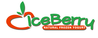 ICEBERRY NATURAL FROZEN YOGURT logo