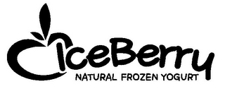 ICEBERRY NATURAL FROZEN YOGURT logo