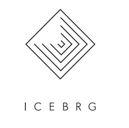 ICEBRG logo