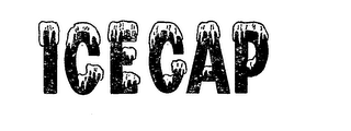 ICECAP logo