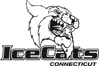 ICECATS CONNECTICUT logo
