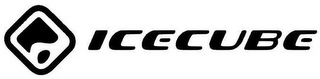ICECUBE logo