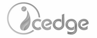 ICEDGE logo