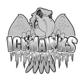 ICEHAWKS logo