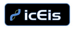 ICEIS logo